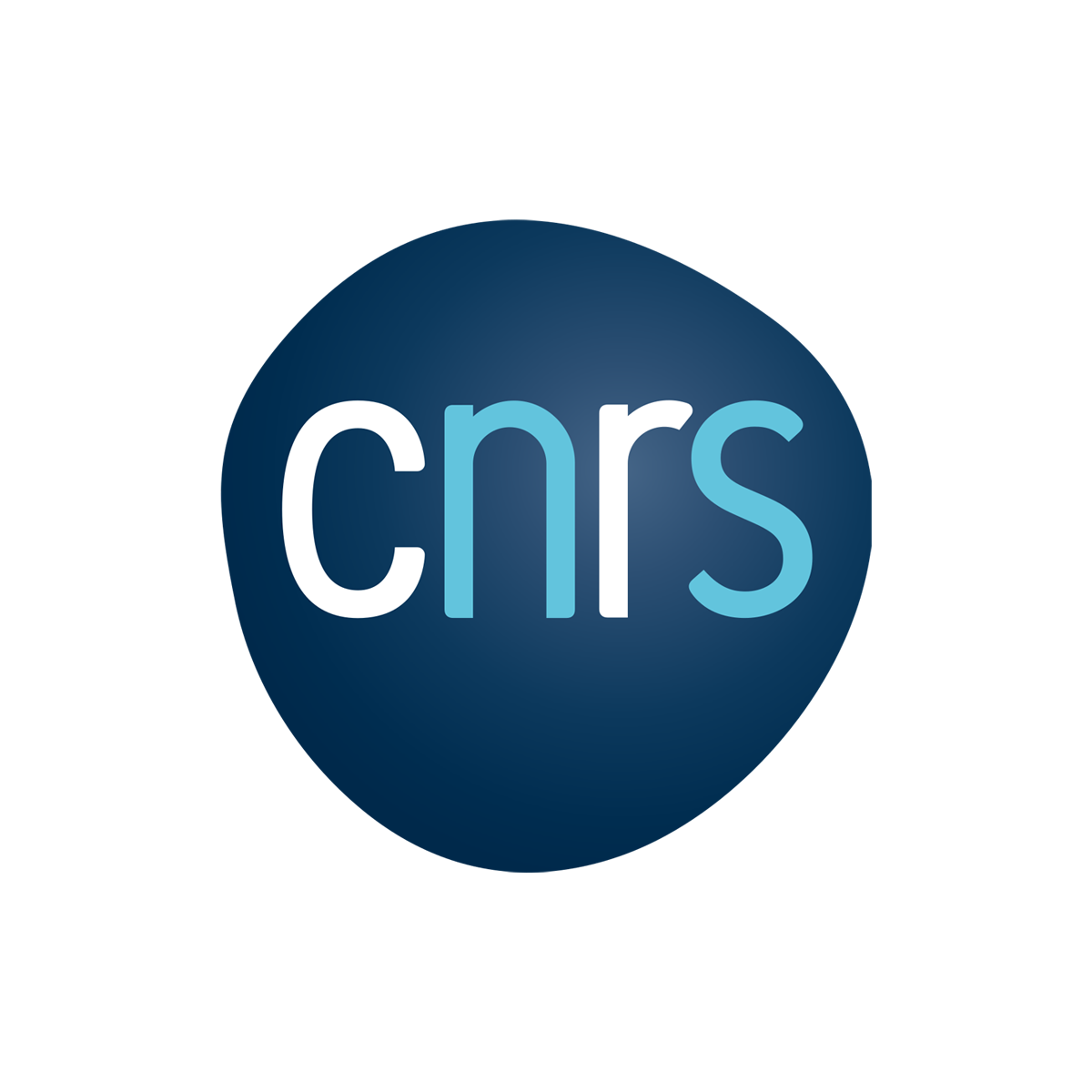 Logo CNRS