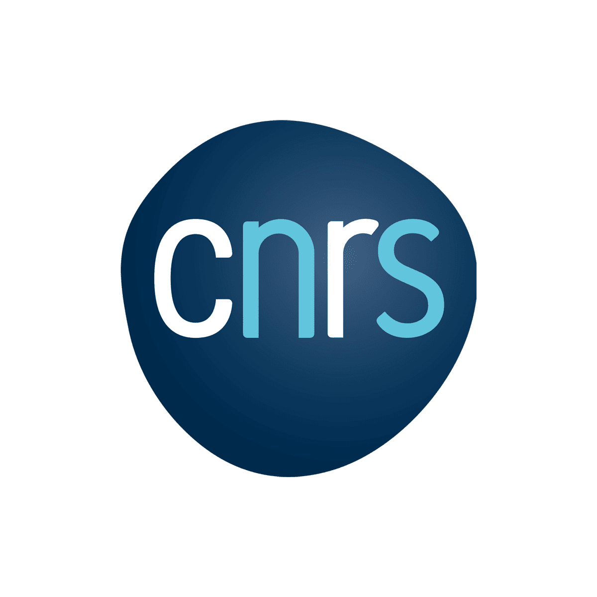 Logo CNRS