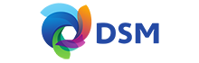 Logo DSM